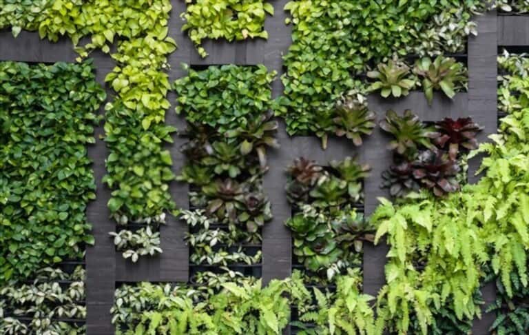green wall eco-friendly vertical garden