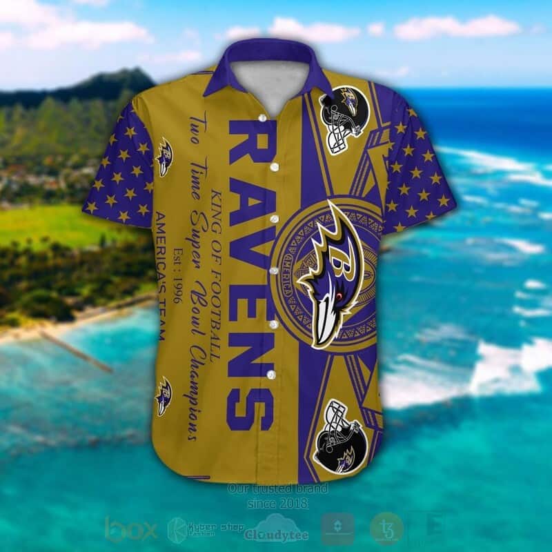 Awesome NFL Baltimore Ravens Hawaiian Shirt Team Symbol Gift For Cool Dad