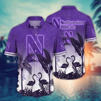 Vintage Aloha NCAA Northwestern Wildcats Hawaiian Shirt Sunset View Gift For Mom