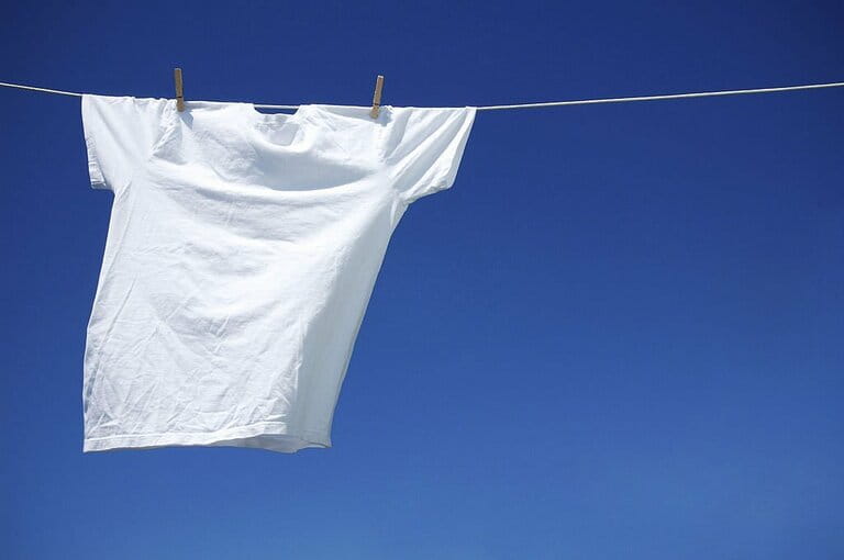 White T-Shirt White T-Shirt