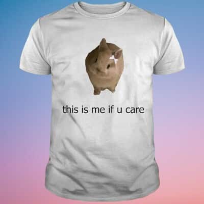 This Is Me If You Care T-Shirt
